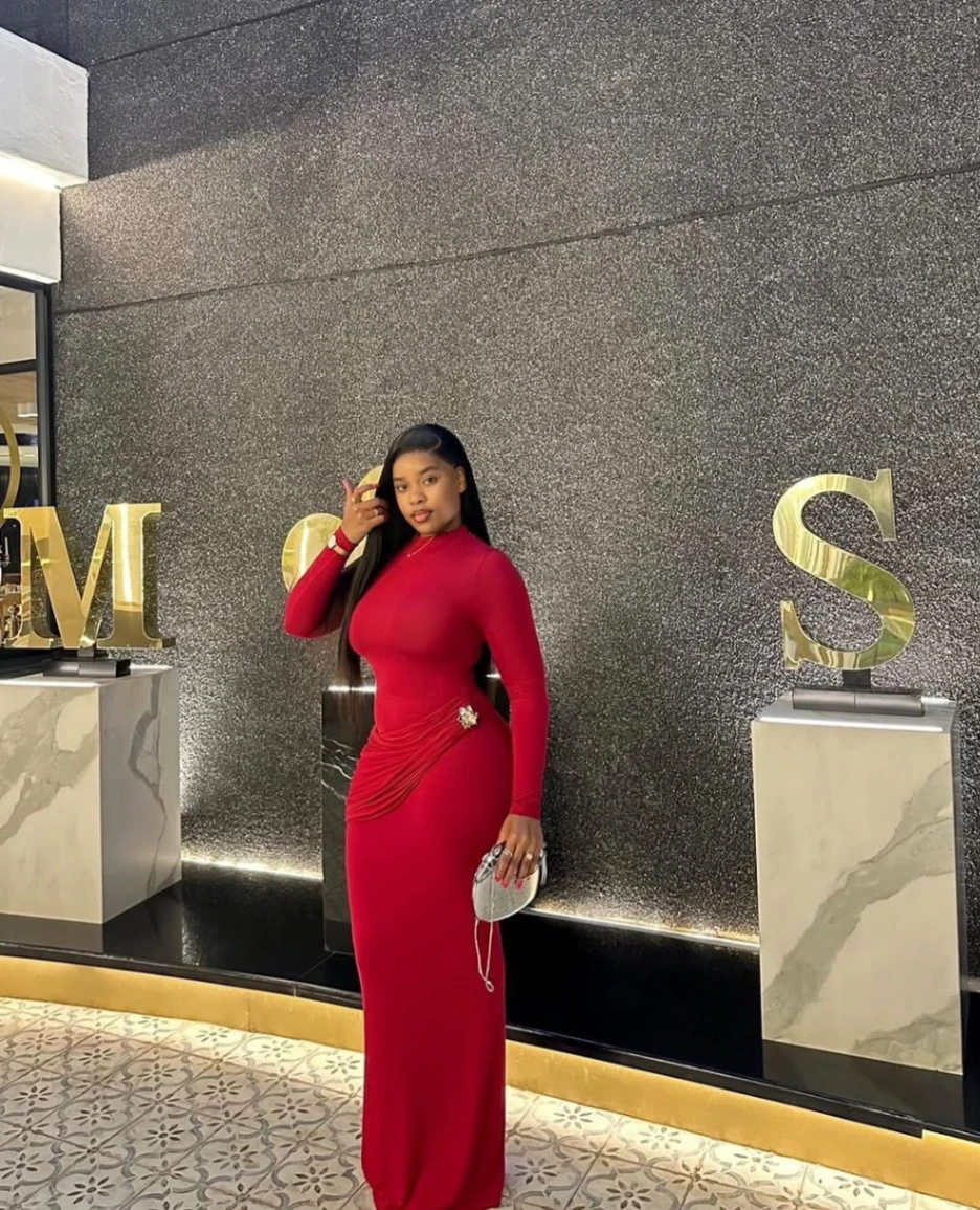 Women's Elegant Stand Collar Long Sleeve High Split Maxi Dress